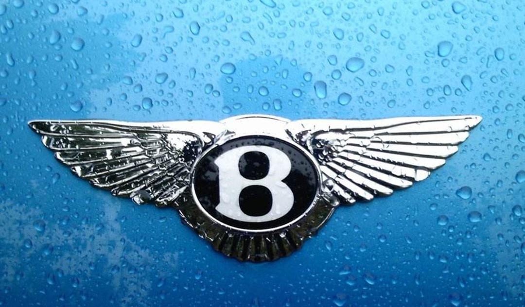 不怕大眾帶字母，就怕車標(biāo)帶翅膀！看到它們還是躲遠點