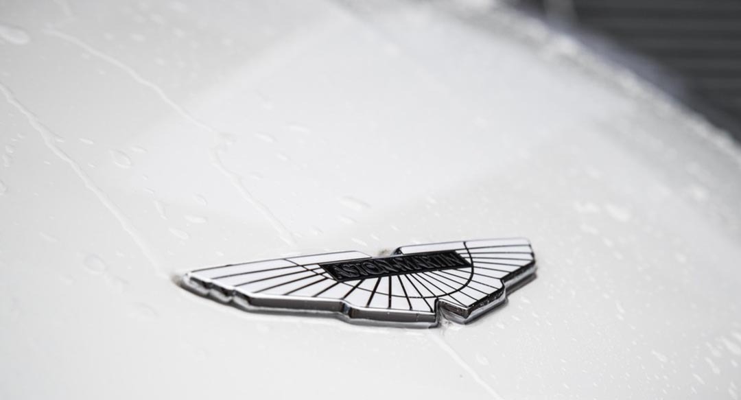 不怕大眾帶字母，就怕車標(biāo)帶翅膀！看到它們還是躲遠點