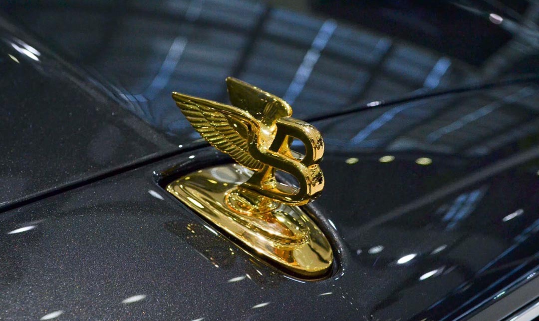 不怕大眾帶字母，就怕車標(biāo)帶翅膀！看到它們還是躲遠點