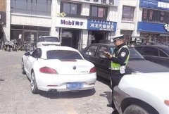 寶馬換五菱宏光車標mdashmdas