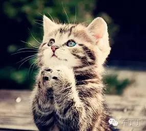 如何從零基礎變成懂車達人？