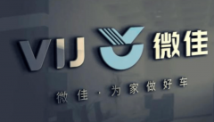 人怕出名豬怕壯，山寨車標你