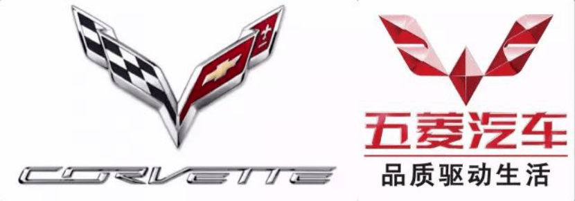 人怕出名豬怕壯，山寨車標你較棒