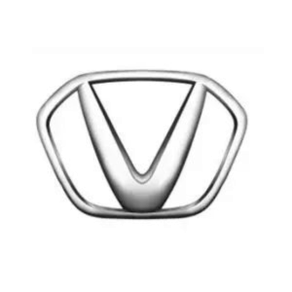 人怕出名豬怕壯，山寨車標你較棒