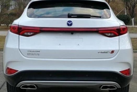 眾泰皮尺部再立新功！這次不僅克隆了外形，連車標都沒放過！