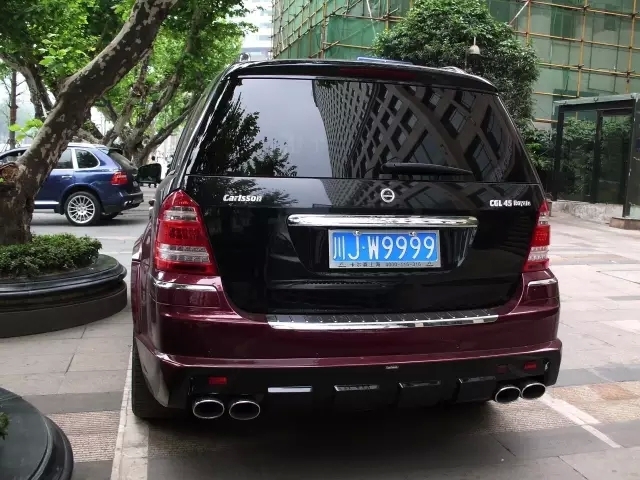 偶遇一輛SUV，車牌4個9，車標是只馬，但是很多人都不認識？