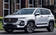 寶駿終于換車標(biāo)了！！！