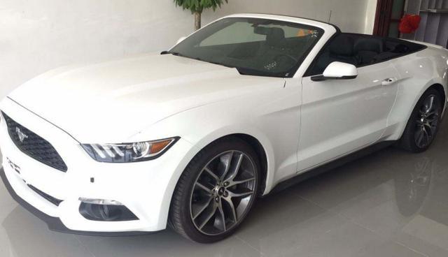 3個馬元素車標，苐yi個童年回憶，第三個不敢恭維