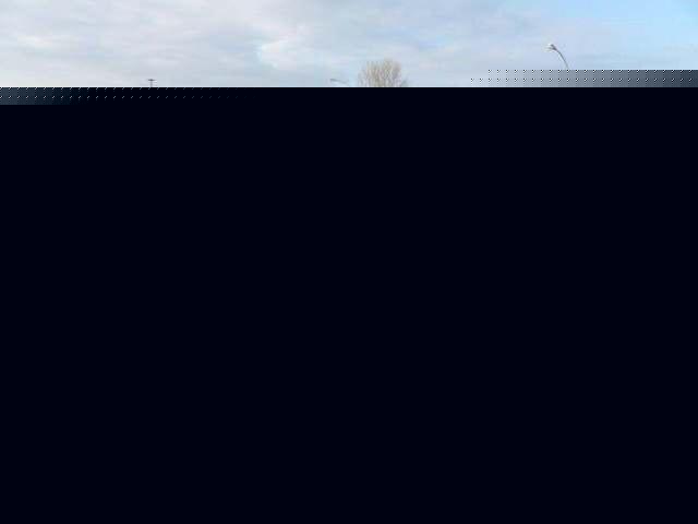 以&ldquo;動物&rdquo;為標志的汽車，路上見到記得避讓，碰壞了賣車也賠不起