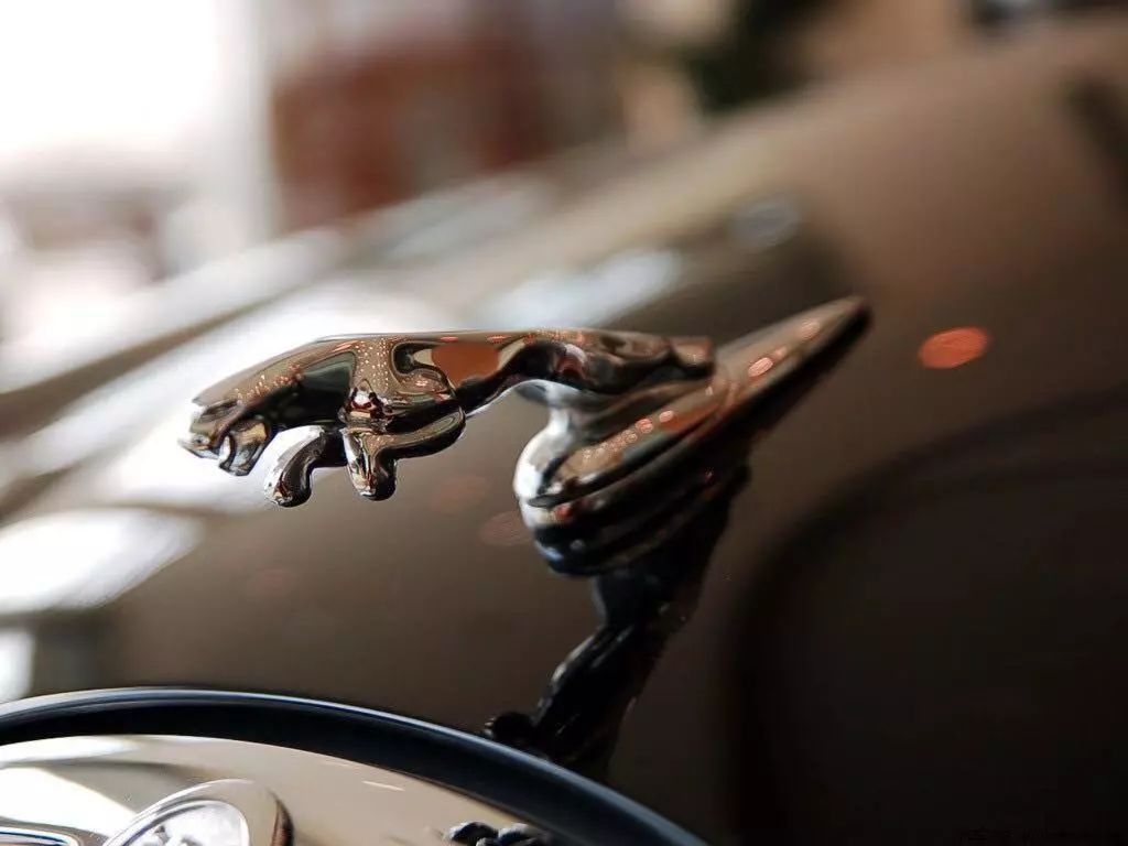 世界上較經典的5款立標汽車，較后一款，車標能換一臺寶馬！