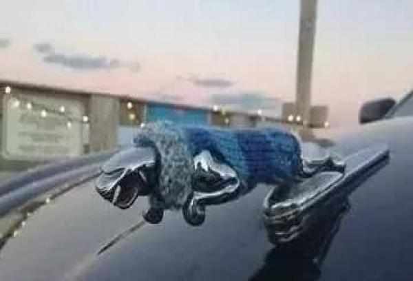 玩車標的高手，捷豹穿上毛衣，這是奧迪被&ldquo;黑&rdquo;的較慘的一次