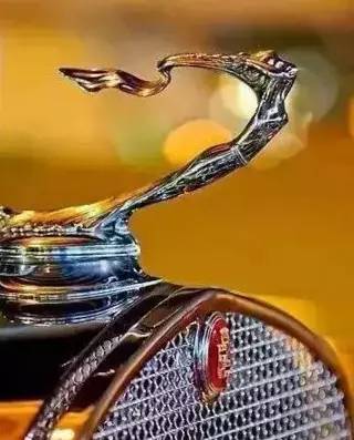 認識3個以上算大神！超罕見的豪車立體車標合集