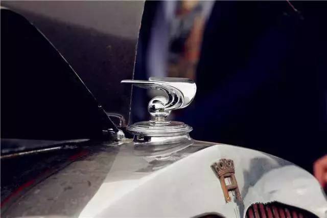 認識3個以上算大神！超罕見的豪車立體車標合集