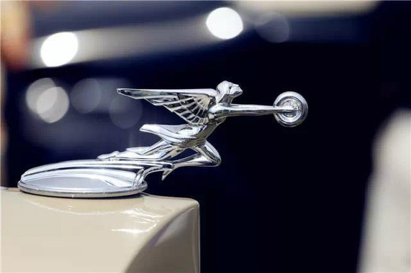 認識3個以上算大神！超罕見的豪車立體車標合集