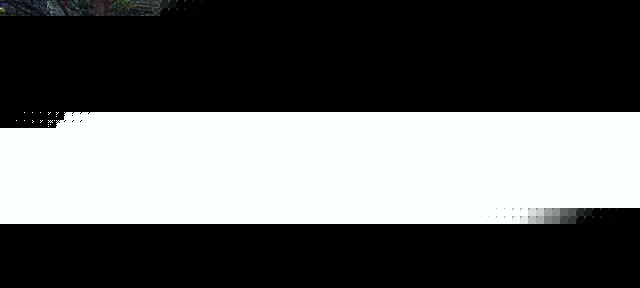 20萬出頭，豪華入門轎車怎么選？買這幾款錯不了