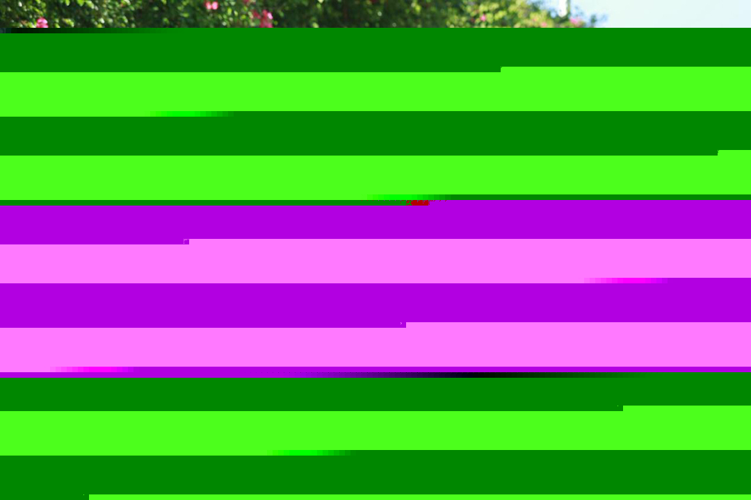 5.98萬起，這些車各有看點，但有些被逼得要退市！