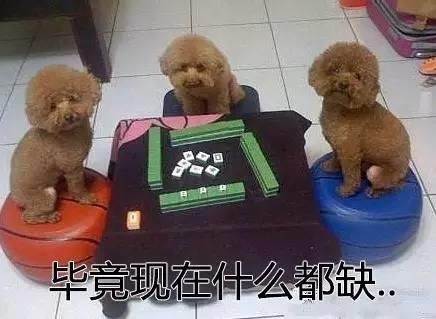 �P�ڱ��B����̫���㲻֪�����£�